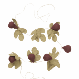 Figs Garland